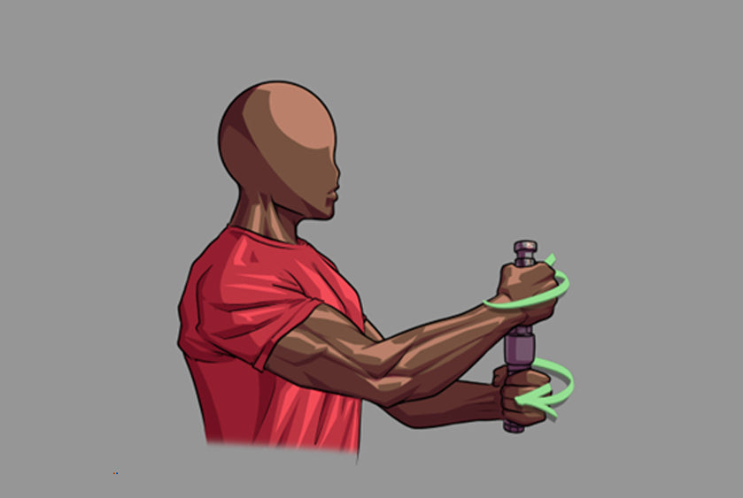 The Anatomy of the Forearms and Exercises to Strengthen Them